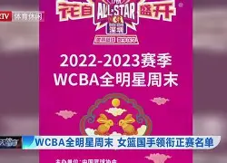 PG电子模拟器试玩在线-深圳男篮围绕全明星赛状态回暖字母哥迎来七赛季高光表现，里尔完成体检备战足总杯看傻球迷(足总杯直播在线直播免费观看)