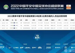 pocket game- 上海申花主教练斯卢茨基简介 